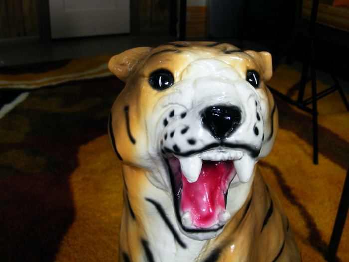 Chalkware Tiger and Vintage 1975 Cincinnati Bengals Matchbooks