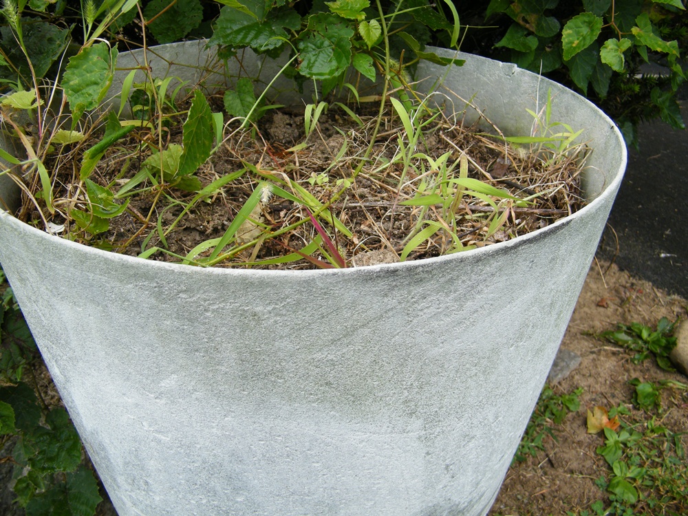 Garden Pot