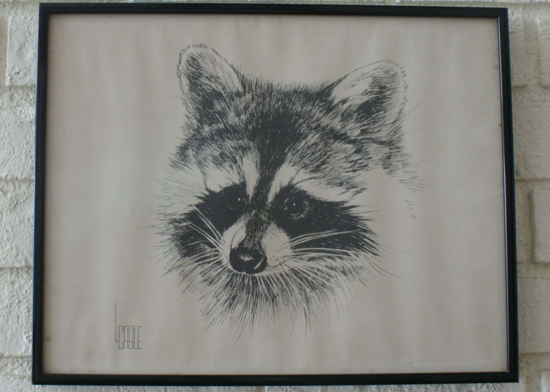 Lee Cable Framed Raccoon Print