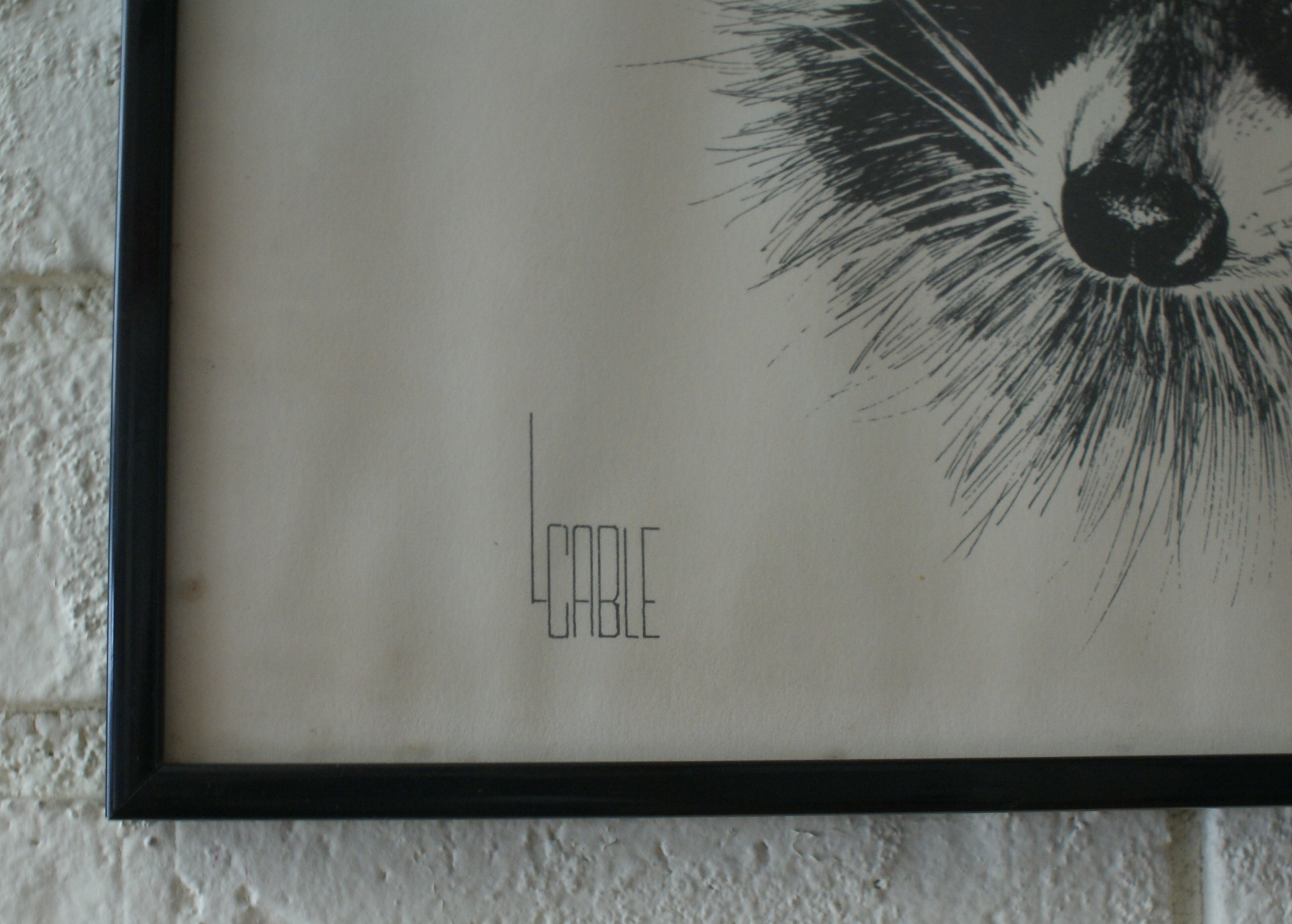 Lee Cable Framed Raccoon Print