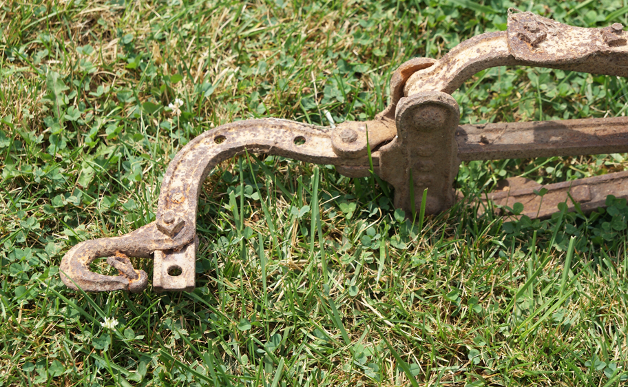 Horse Drawn Cultivator