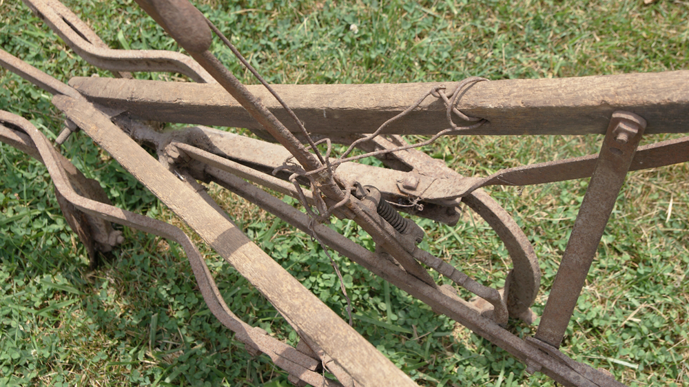 Horse Drawn Cultivator