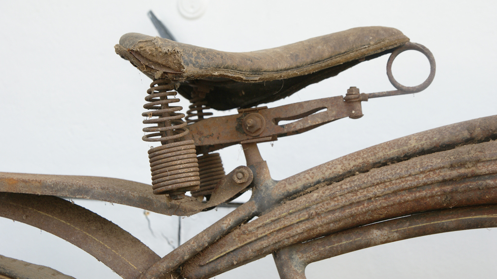 Cincinnati Ludwig Men's Bike