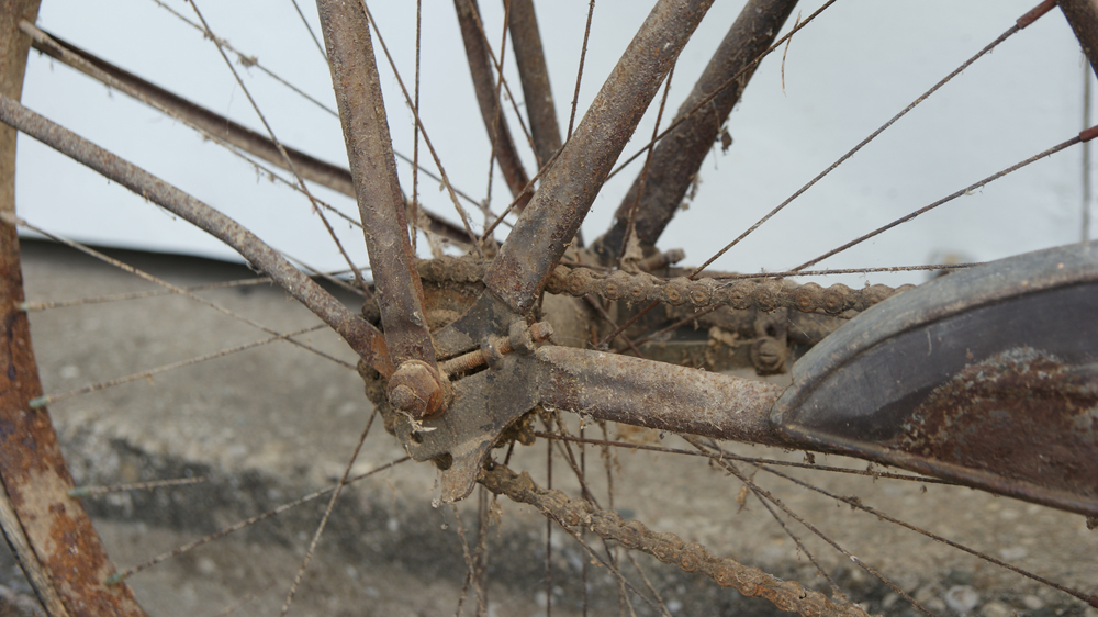 Cincinnati Ludwig Men's Bike