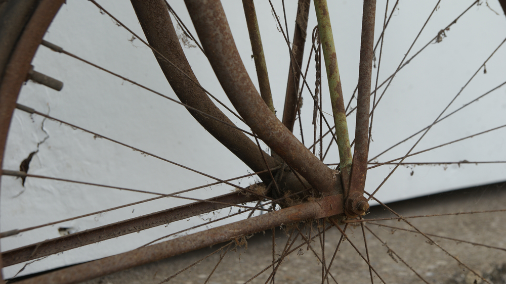 Cincinnati Ludwig Men's Bike