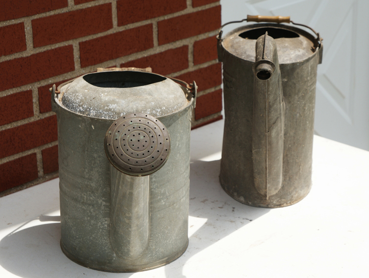 Vintage Watering Cans