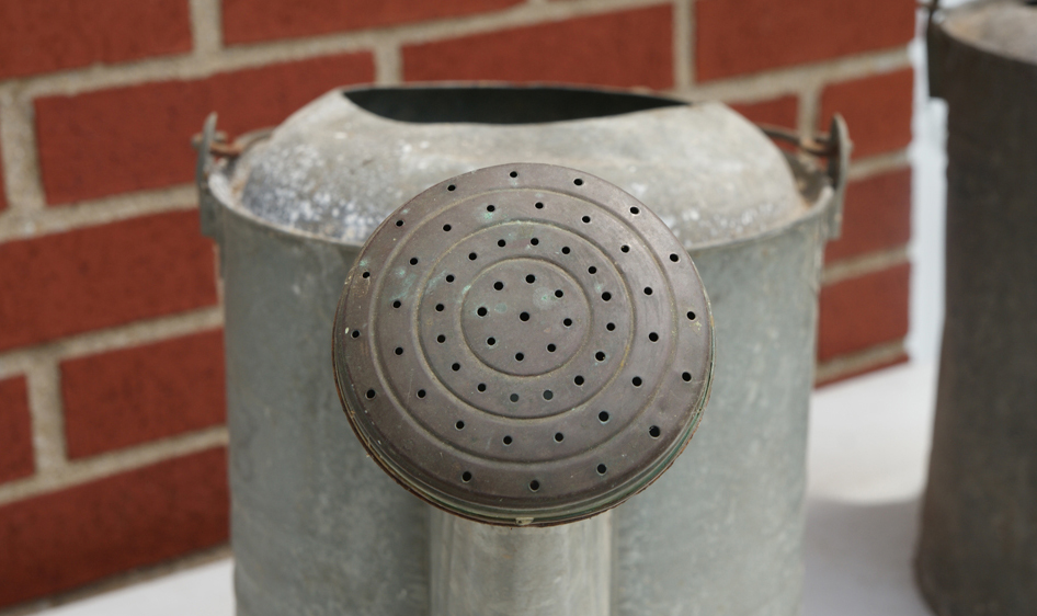 Vintage Watering Cans