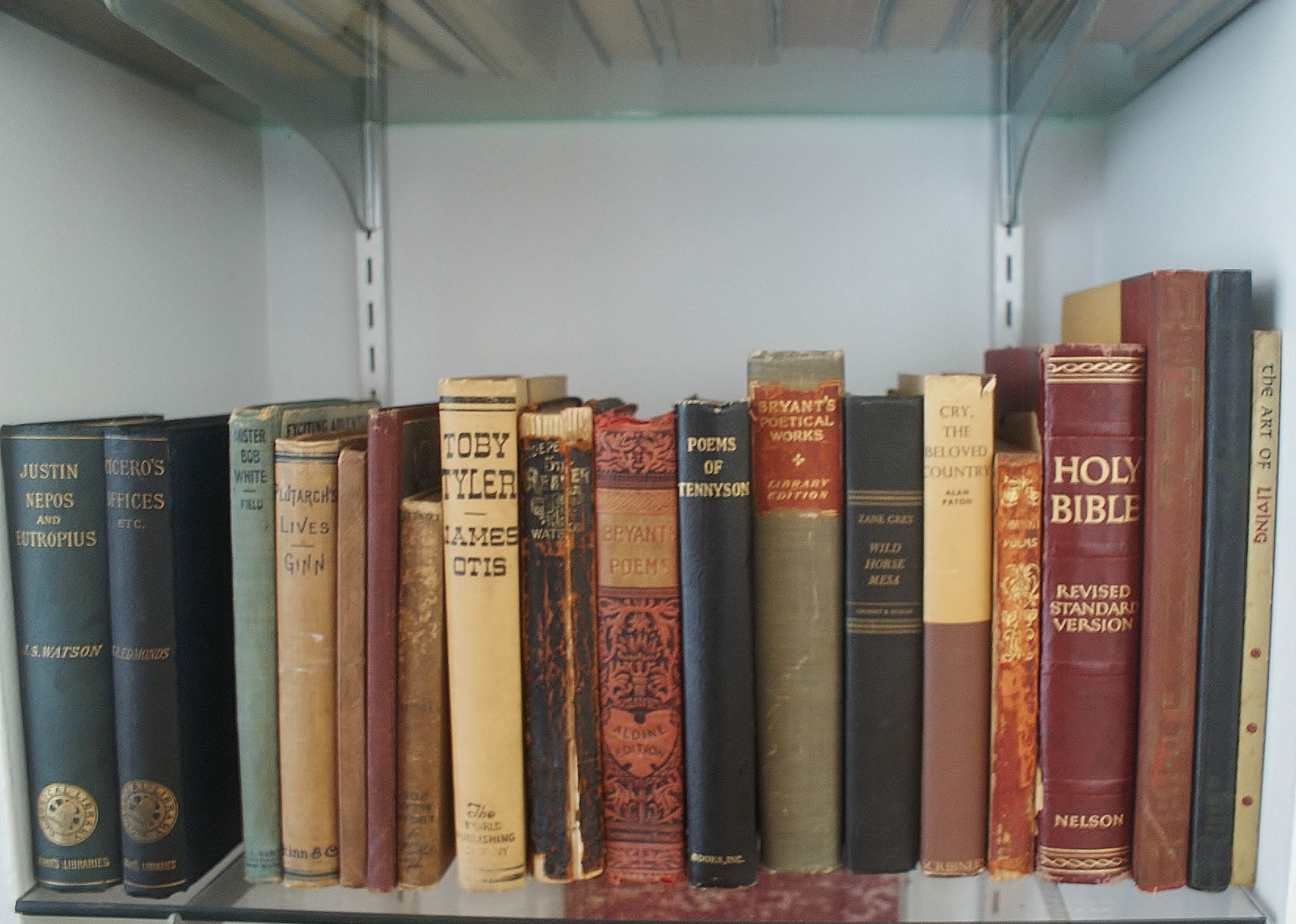 Antique Books Lot of 69