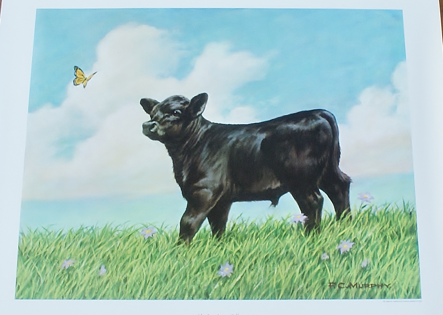 Group of 5  F.C. Murphy Lithograph Prints 1960