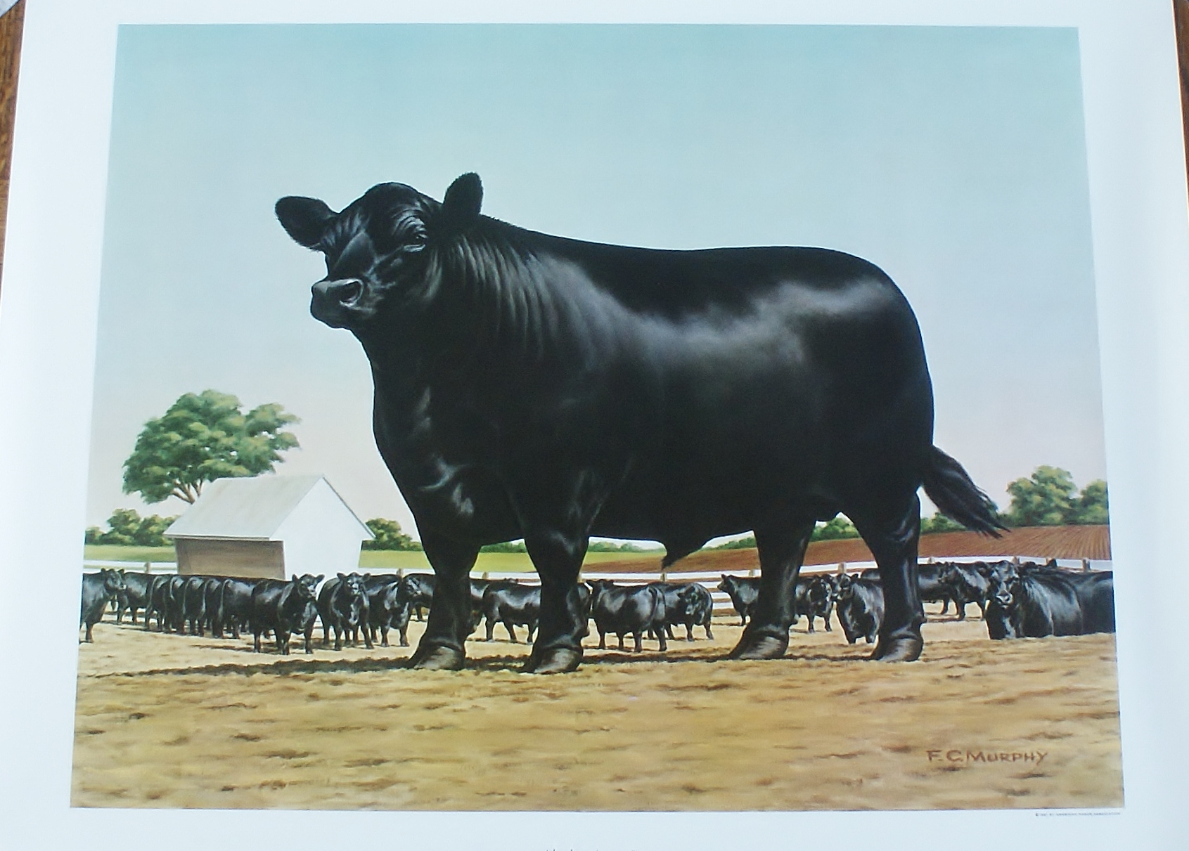 Group of 5  F.C. Murphy Lithograph Prints 1960