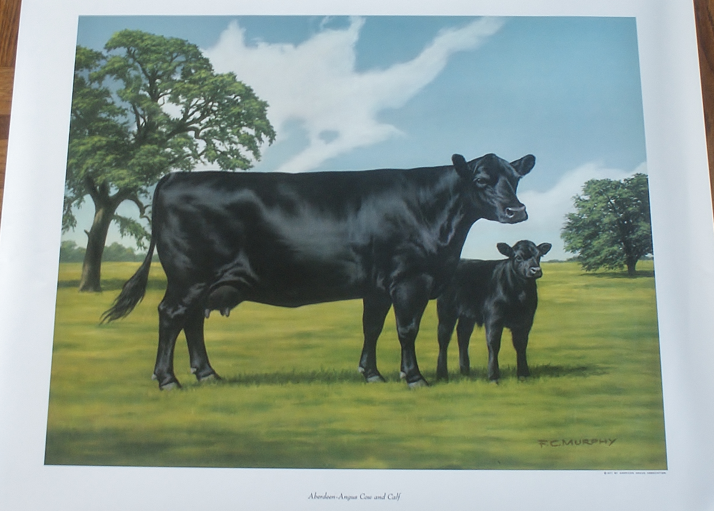 Group of 5  F.C. Murphy Lithograph Prints 1960