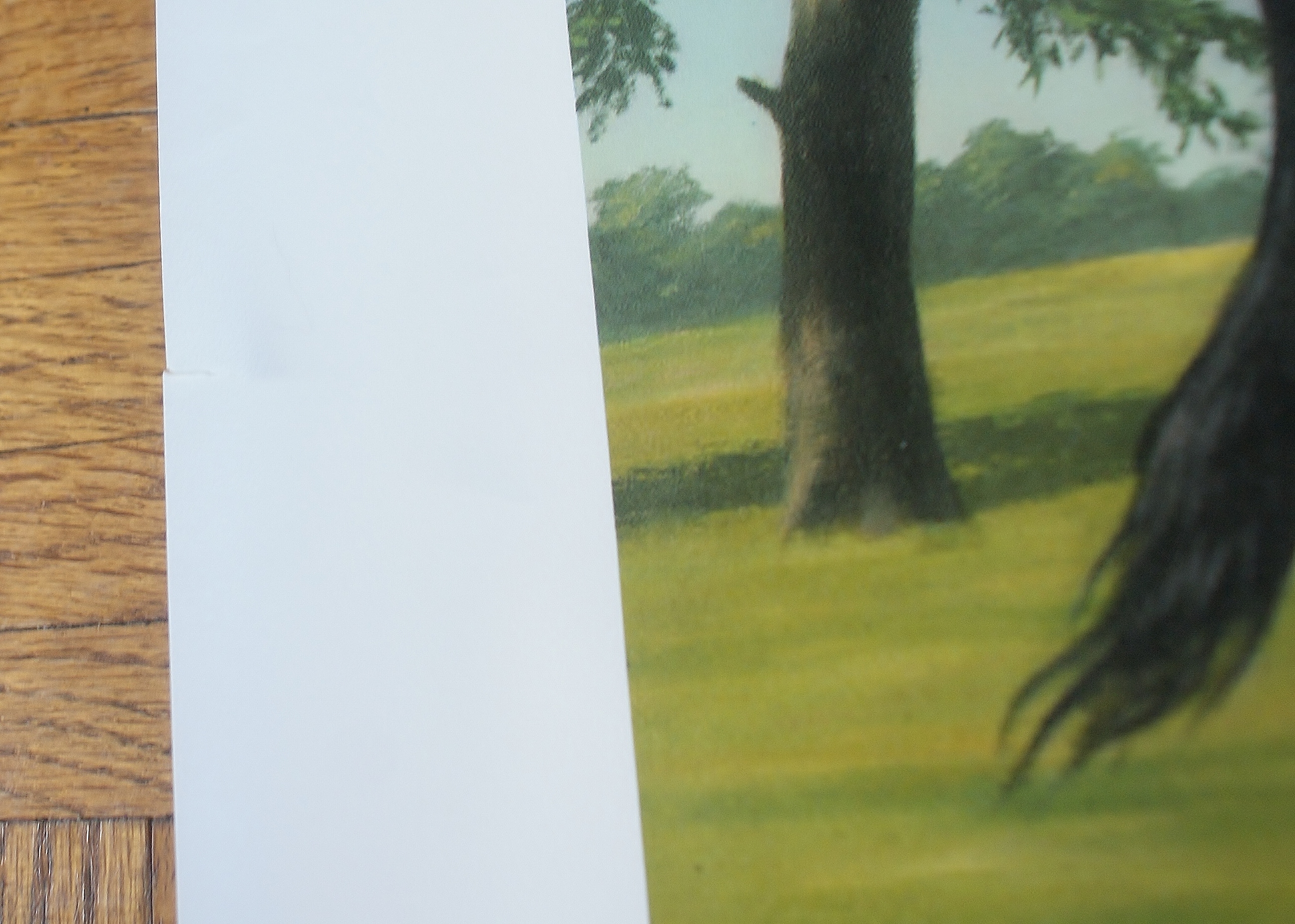 Group of 5  F.C. Murphy Lithograph Prints 1960