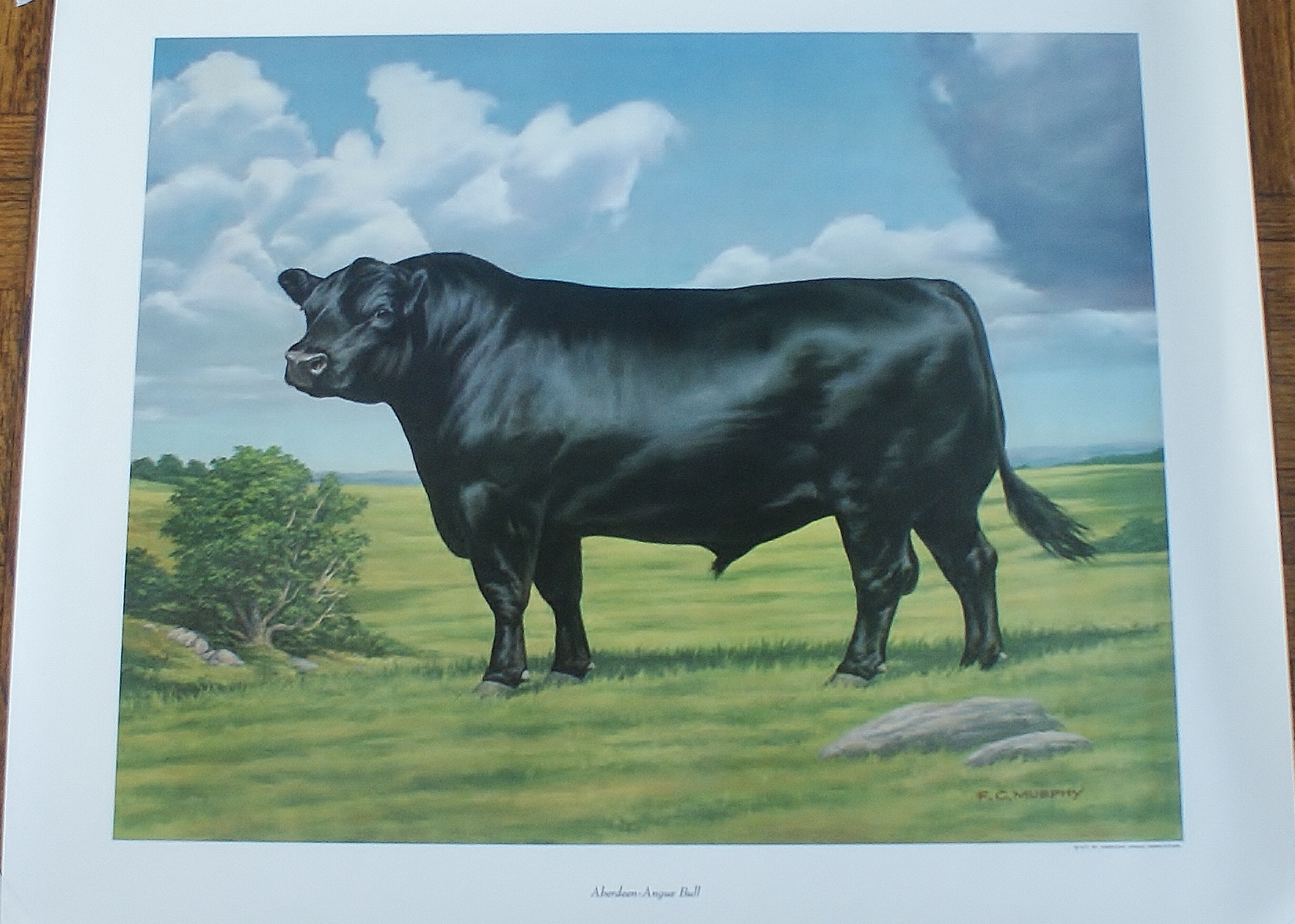 Group of 5  F.C. Murphy Lithograph Prints 1960