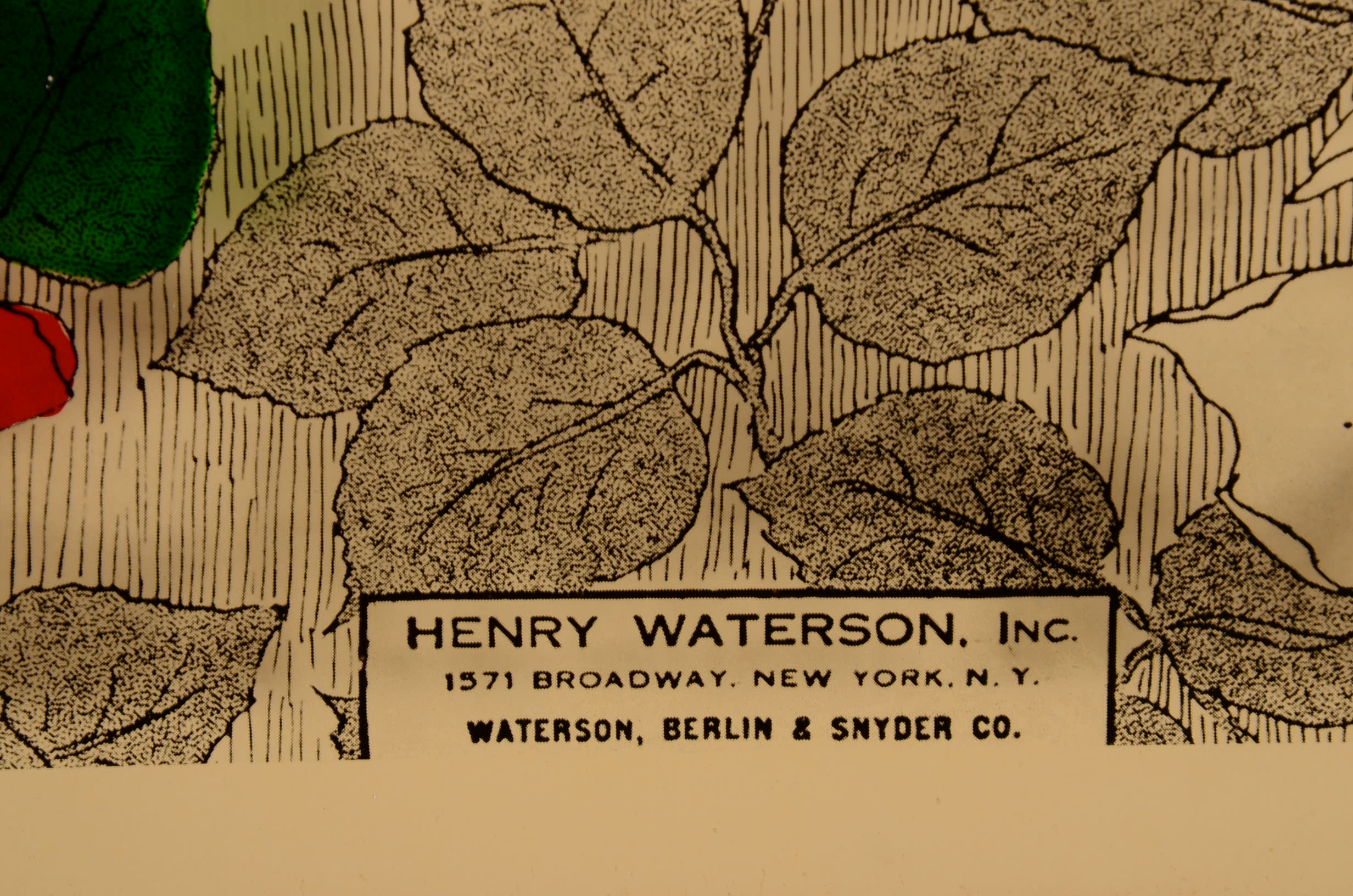 Framed "Brown Eyes Why Are You Blue?"