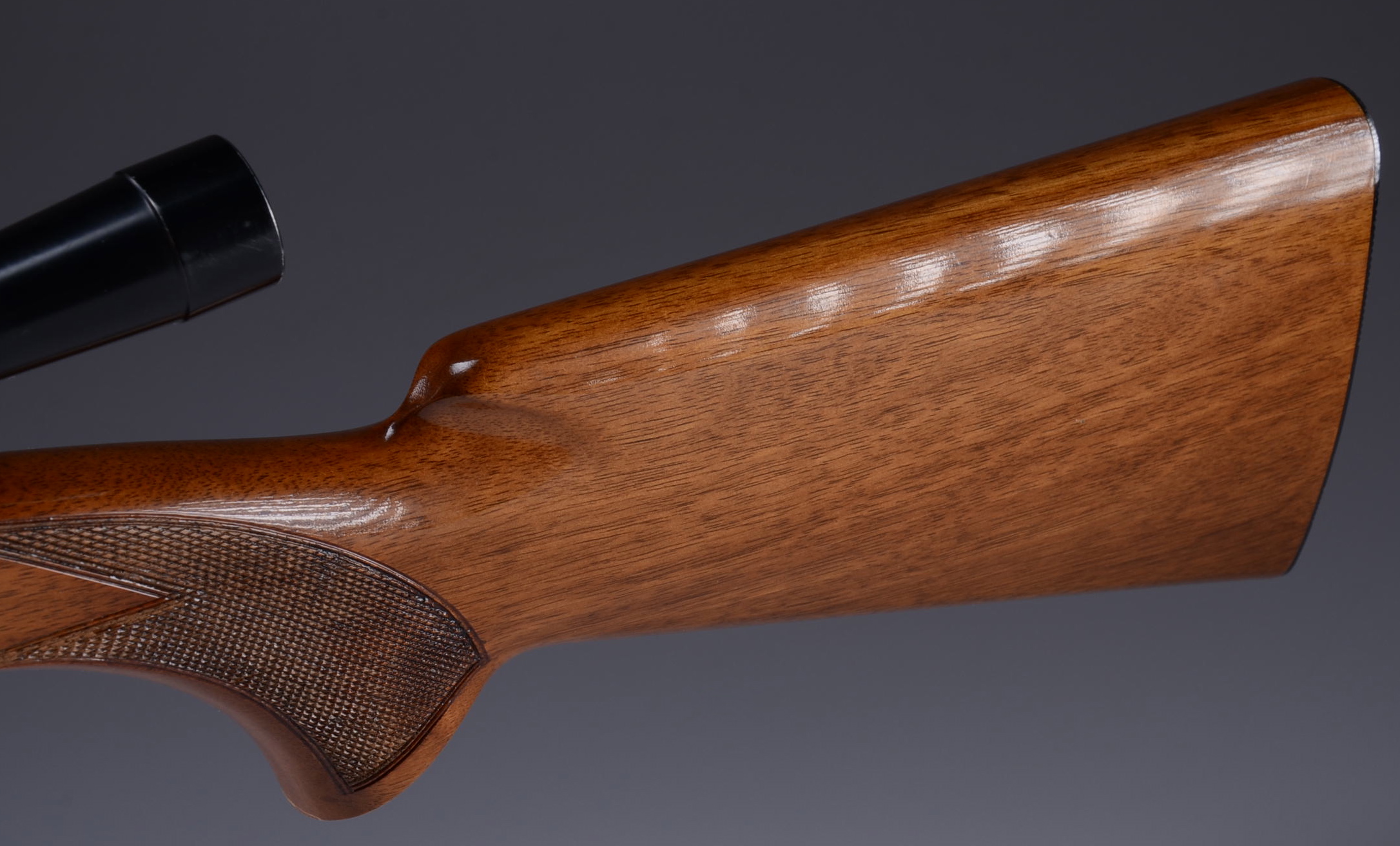 Browning Arms Company .22 Rifle