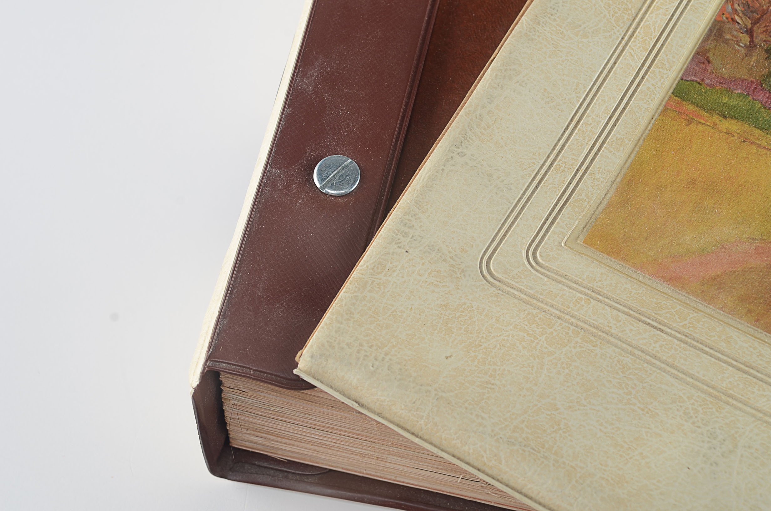 "The Standard Treasury of the World's Greatest Paintings"