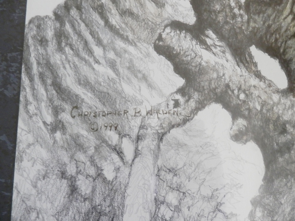 Christopher B. Walden Original