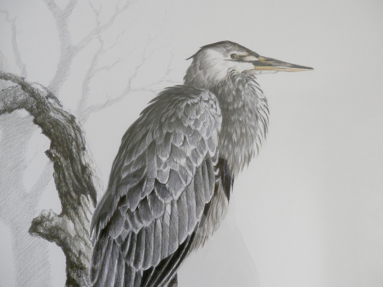 Christopher B. Walden Original