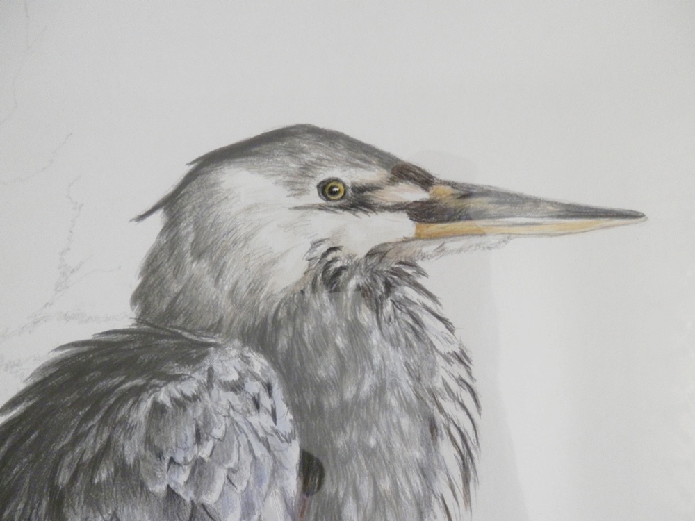 Christopher B. Walden Original