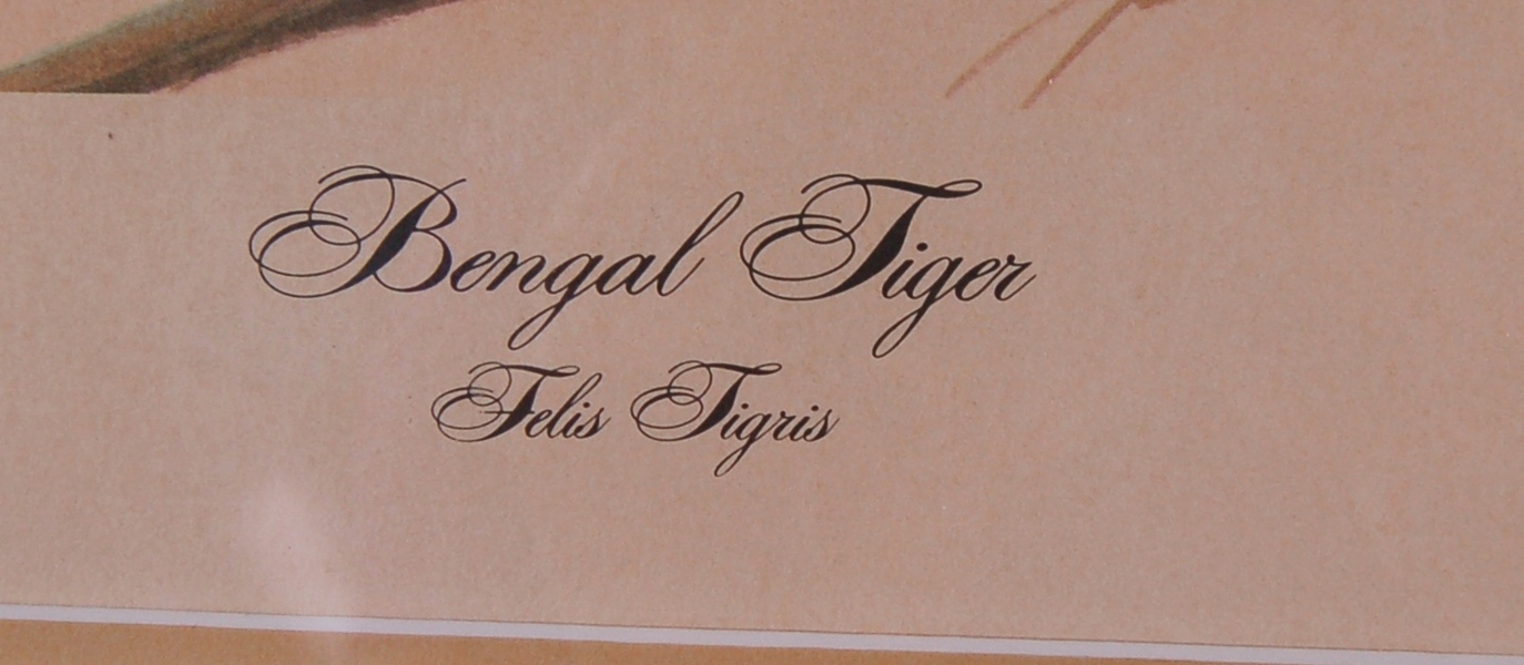 John Ruthven Bengal Tiger Print 