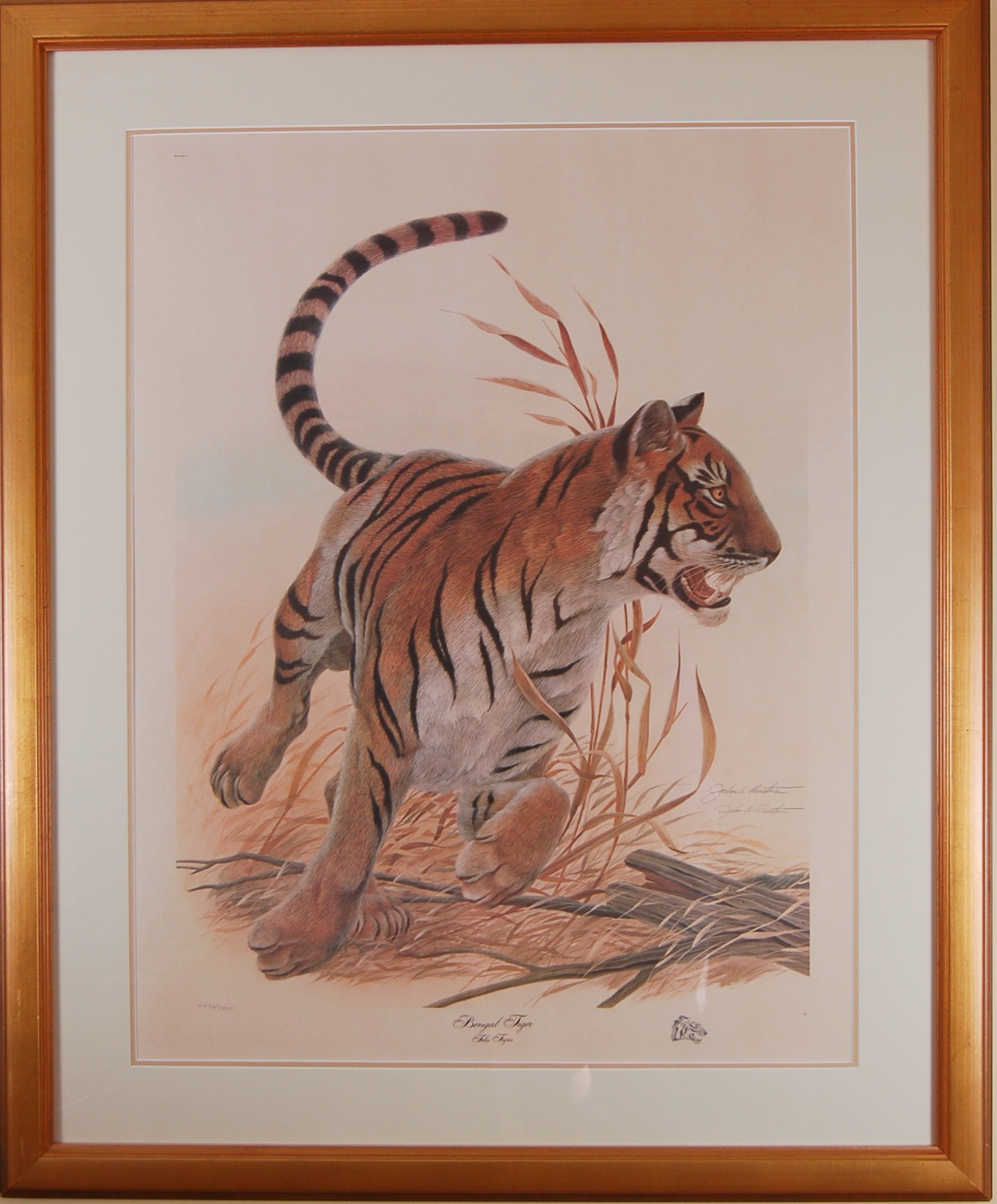 John Ruthven Bengal Tiger Print 