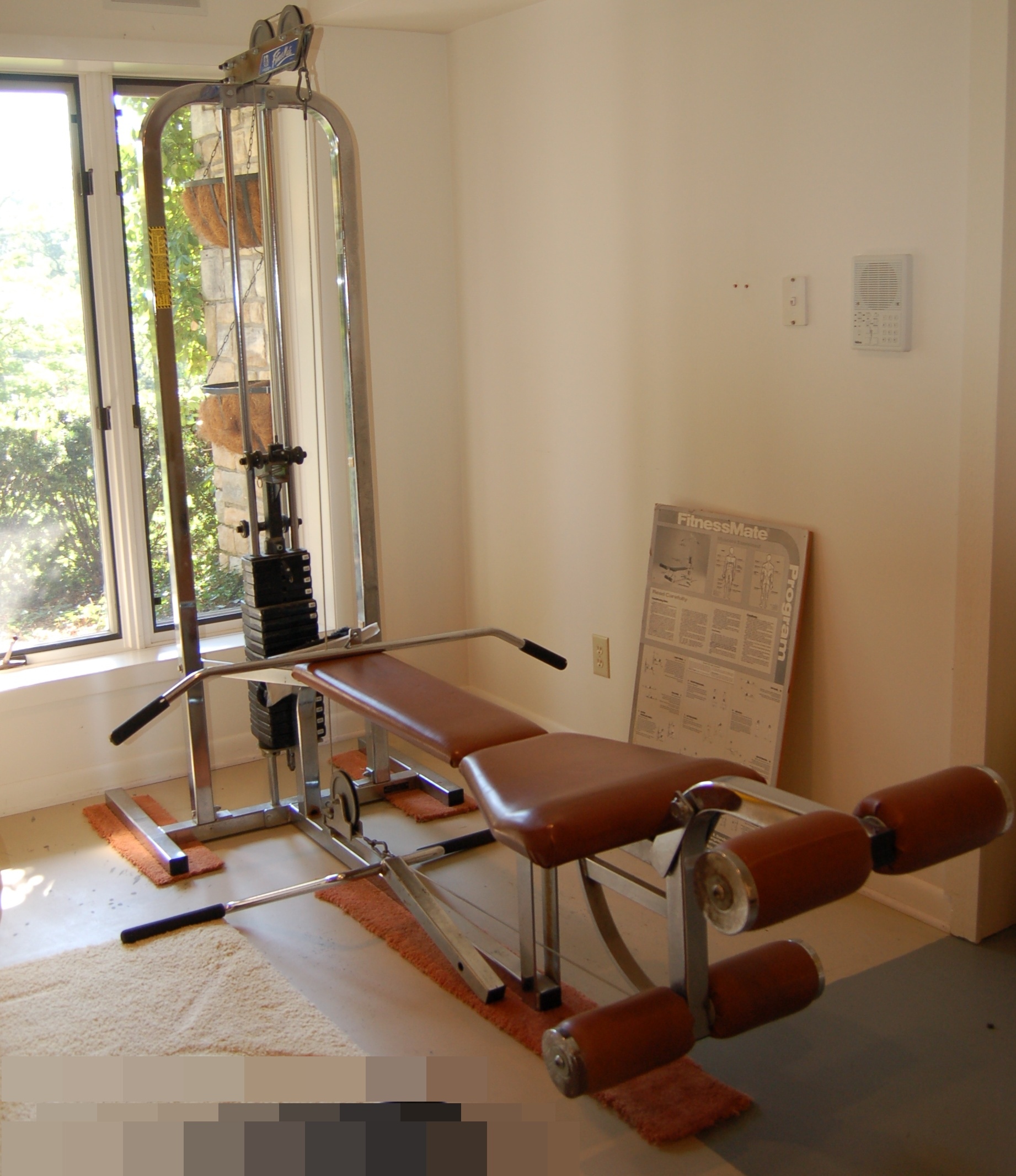 Paramount Fitness Mate Exercise Machine