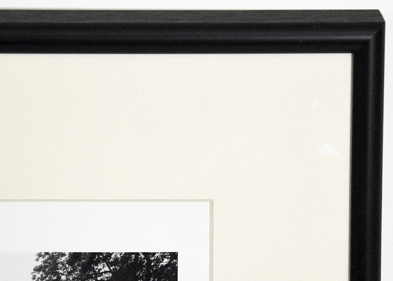 Framed Black and White Architectural Photograph