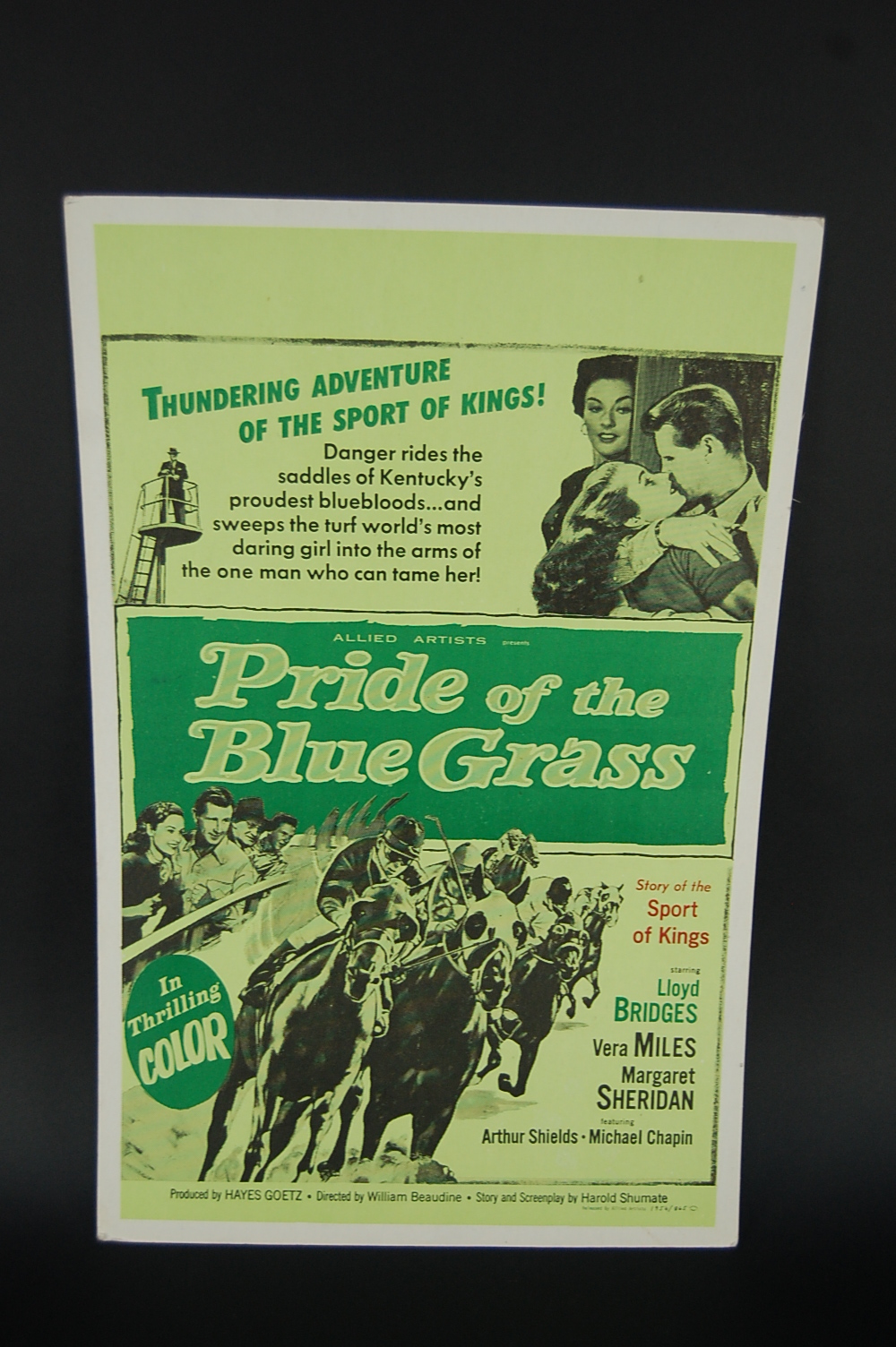 Vintage Movie Posters and Drive In Speaker