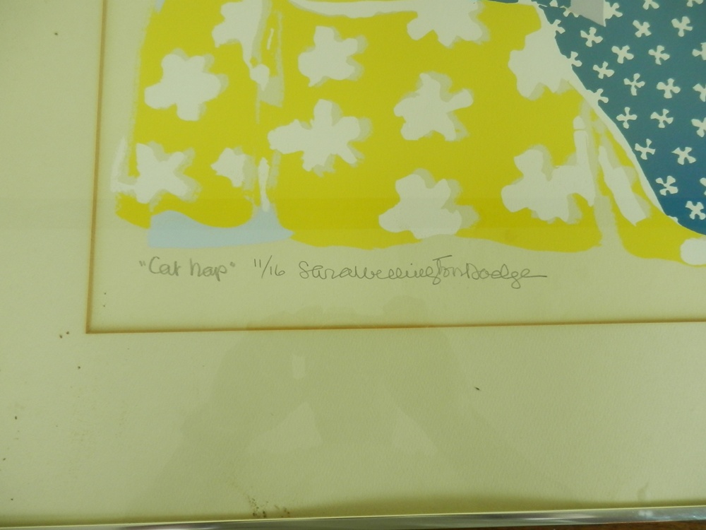 Sara Wellington Dodge Collection 