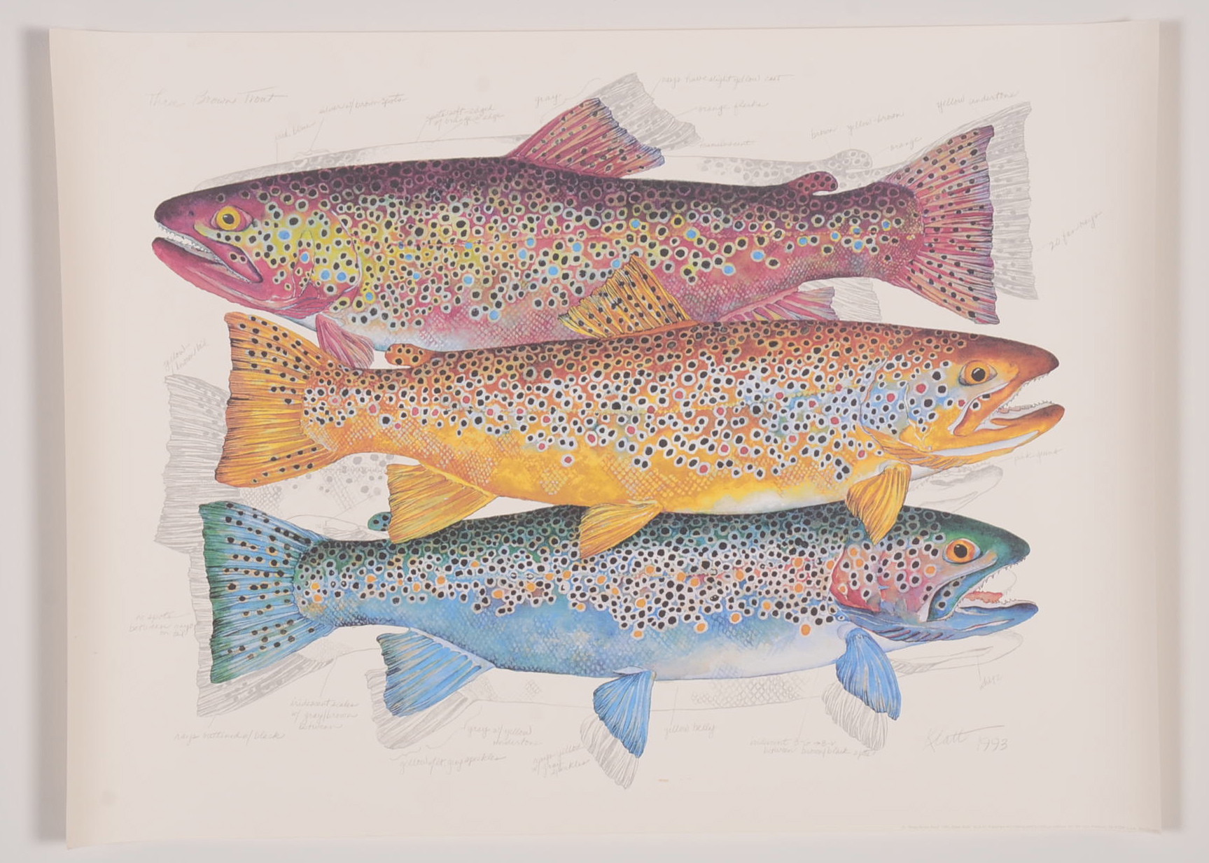 Pair of Trout Prints by Klatt