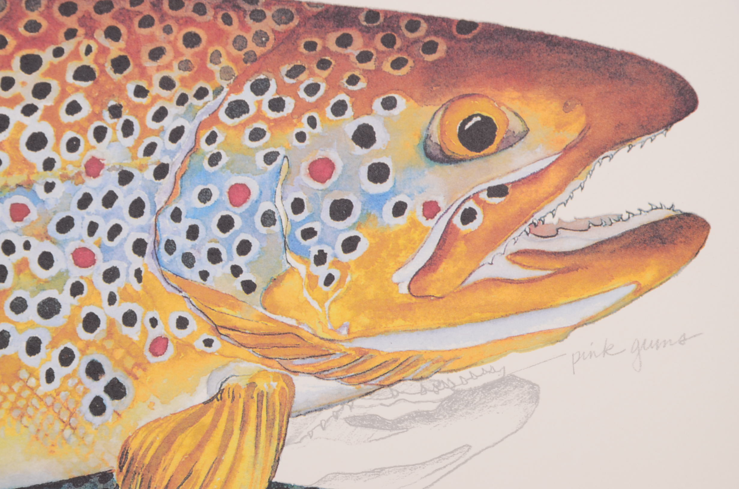 Pair of Trout Prints by Klatt