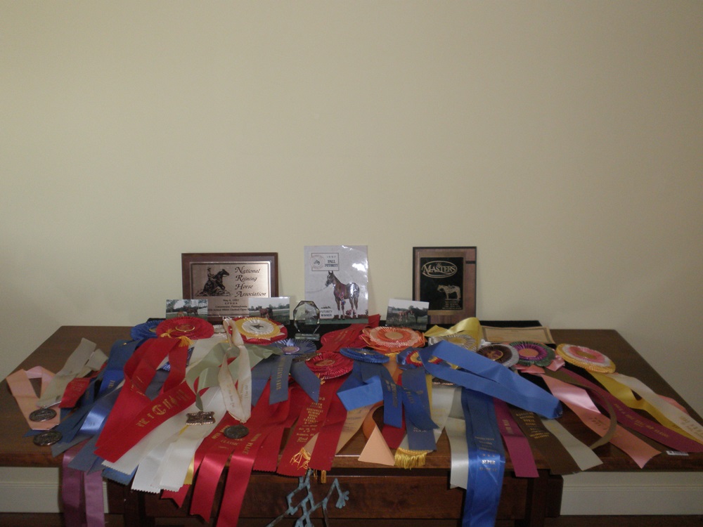 Equestrian Award Collection 
