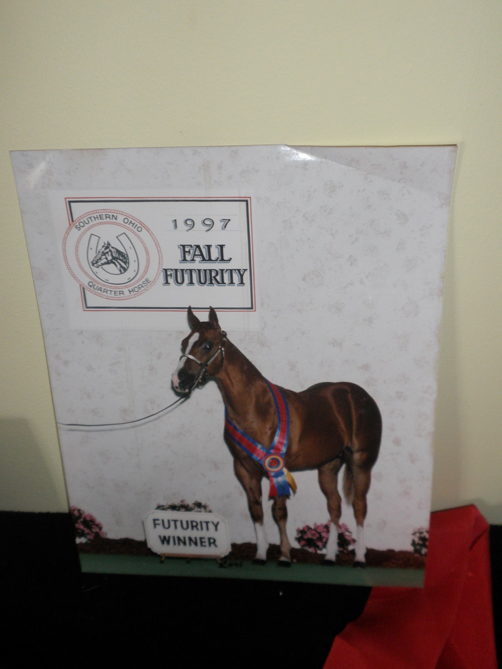 Equestrian Award Collection 