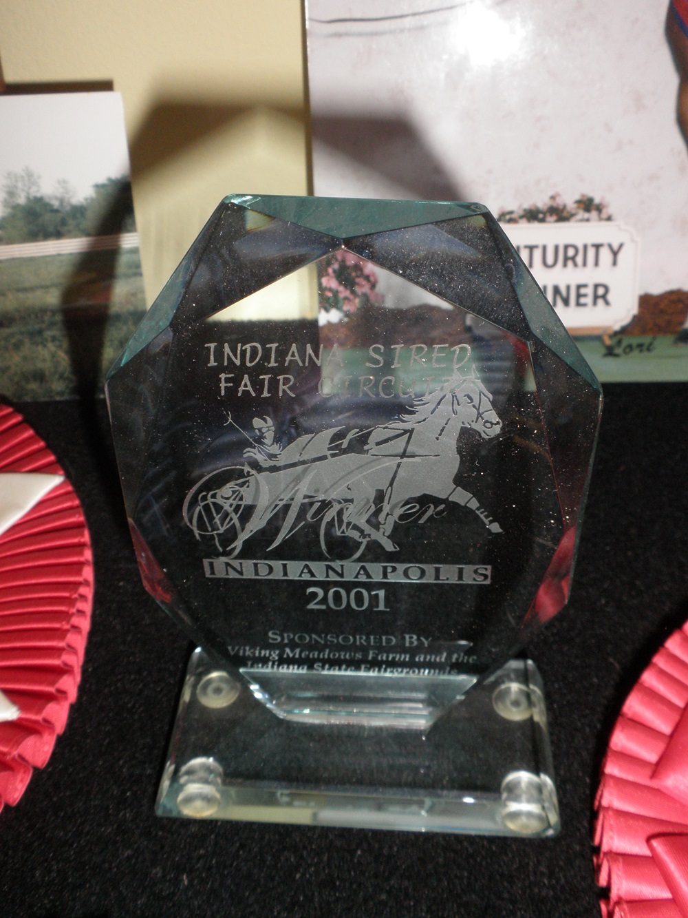 Equestrian Award Collection 