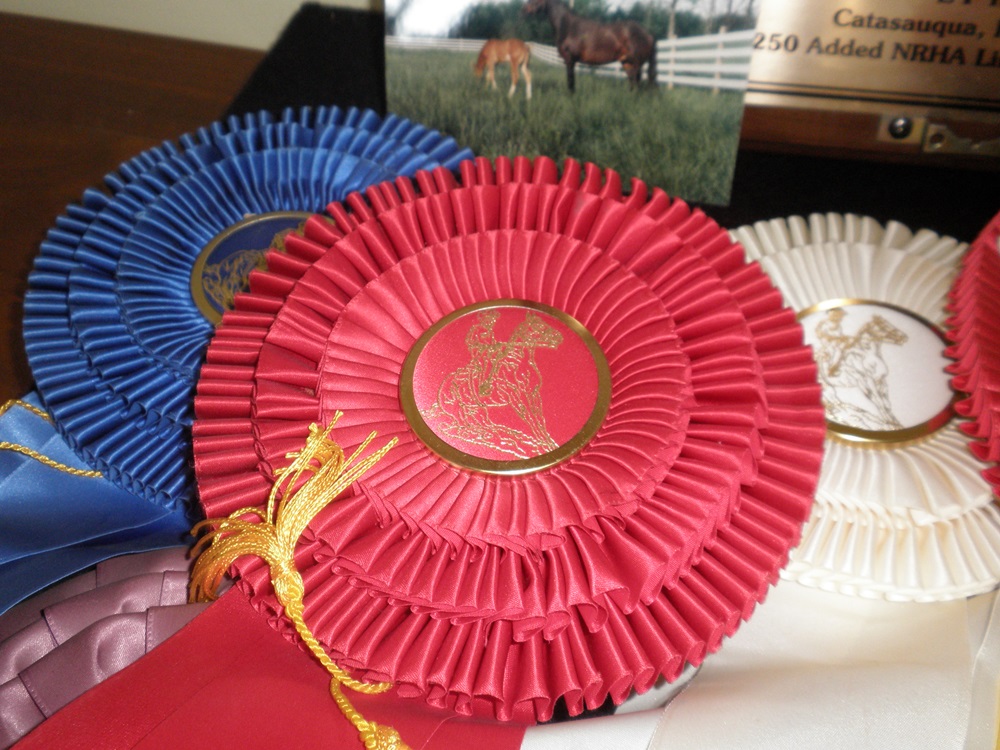 Equestrian Award Collection 