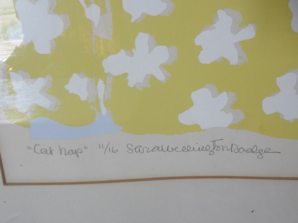 Sara Wellington Dodge Collection 