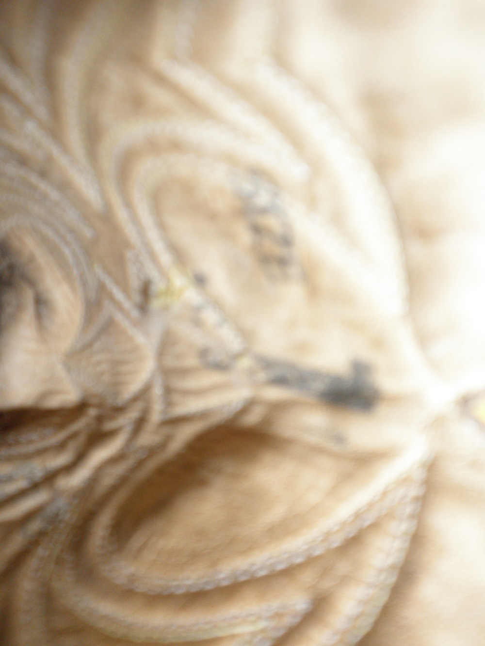 Boy's Fox Western Boots