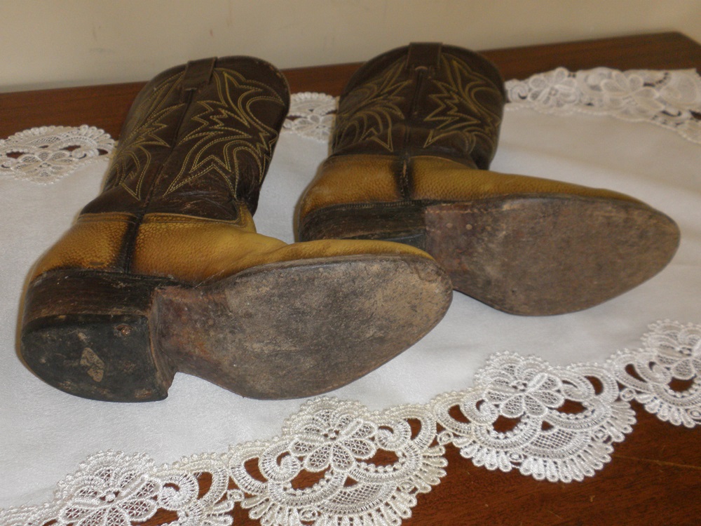 Boy's Fox Western Boots