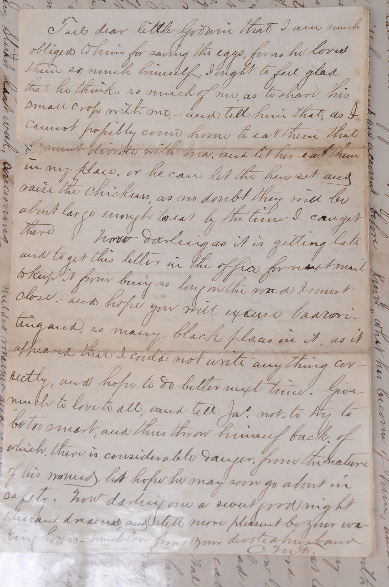 Letters from Civil War Soldiers Home