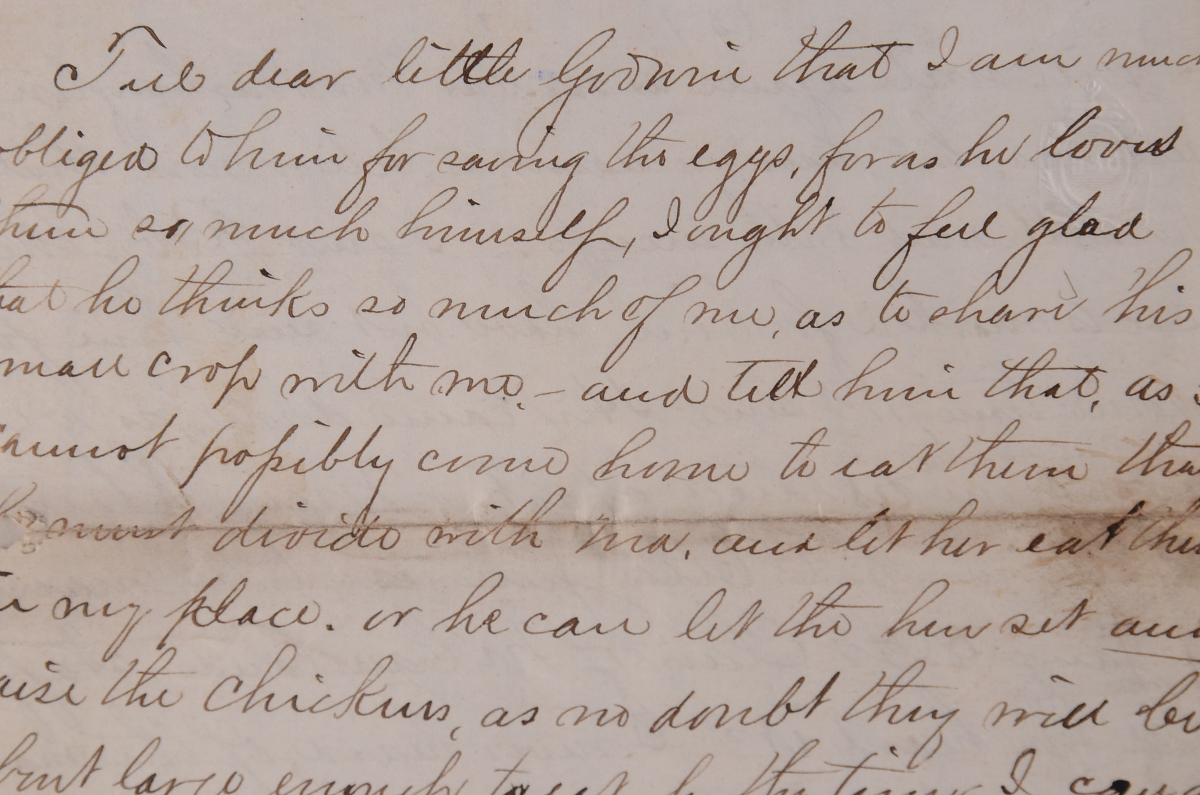 Letters from Civil War Soldiers Home