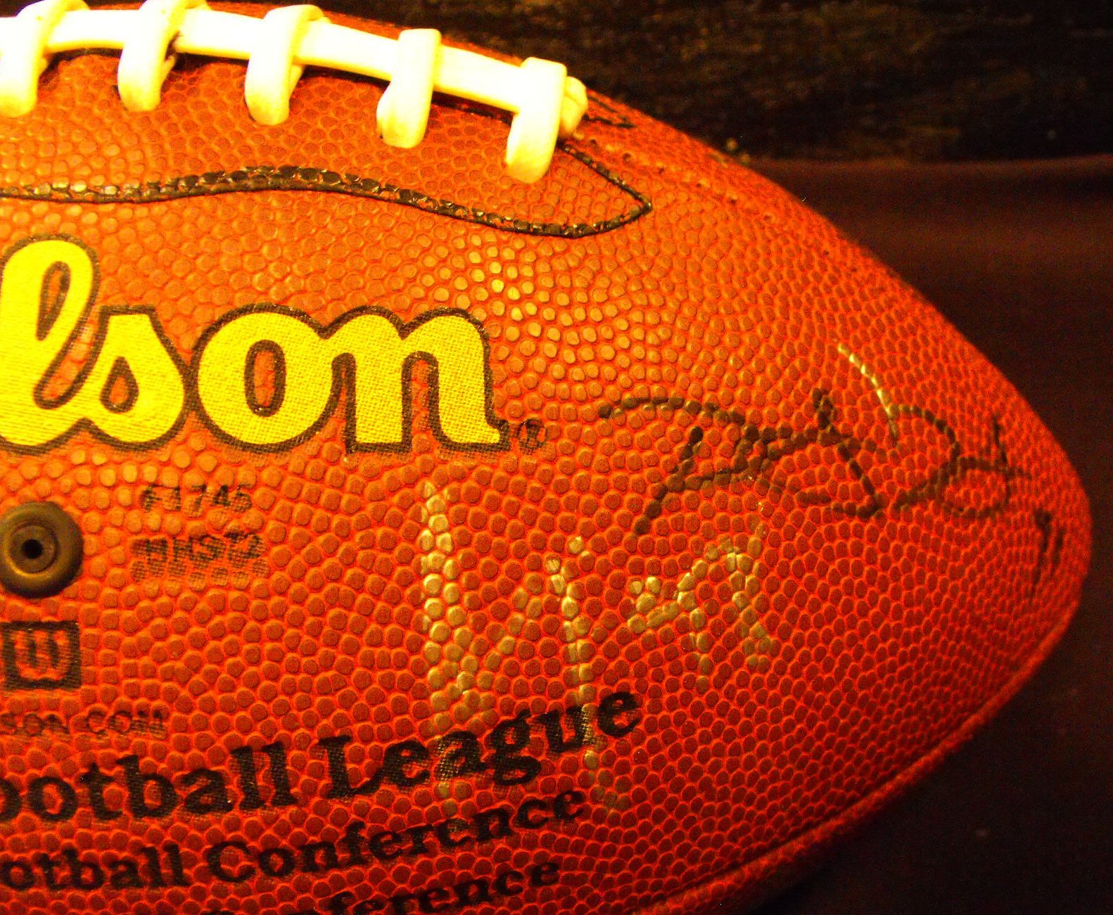 Cincinnati Bengals Team Autogaphed NFL Wilson Football With Many Signatures
