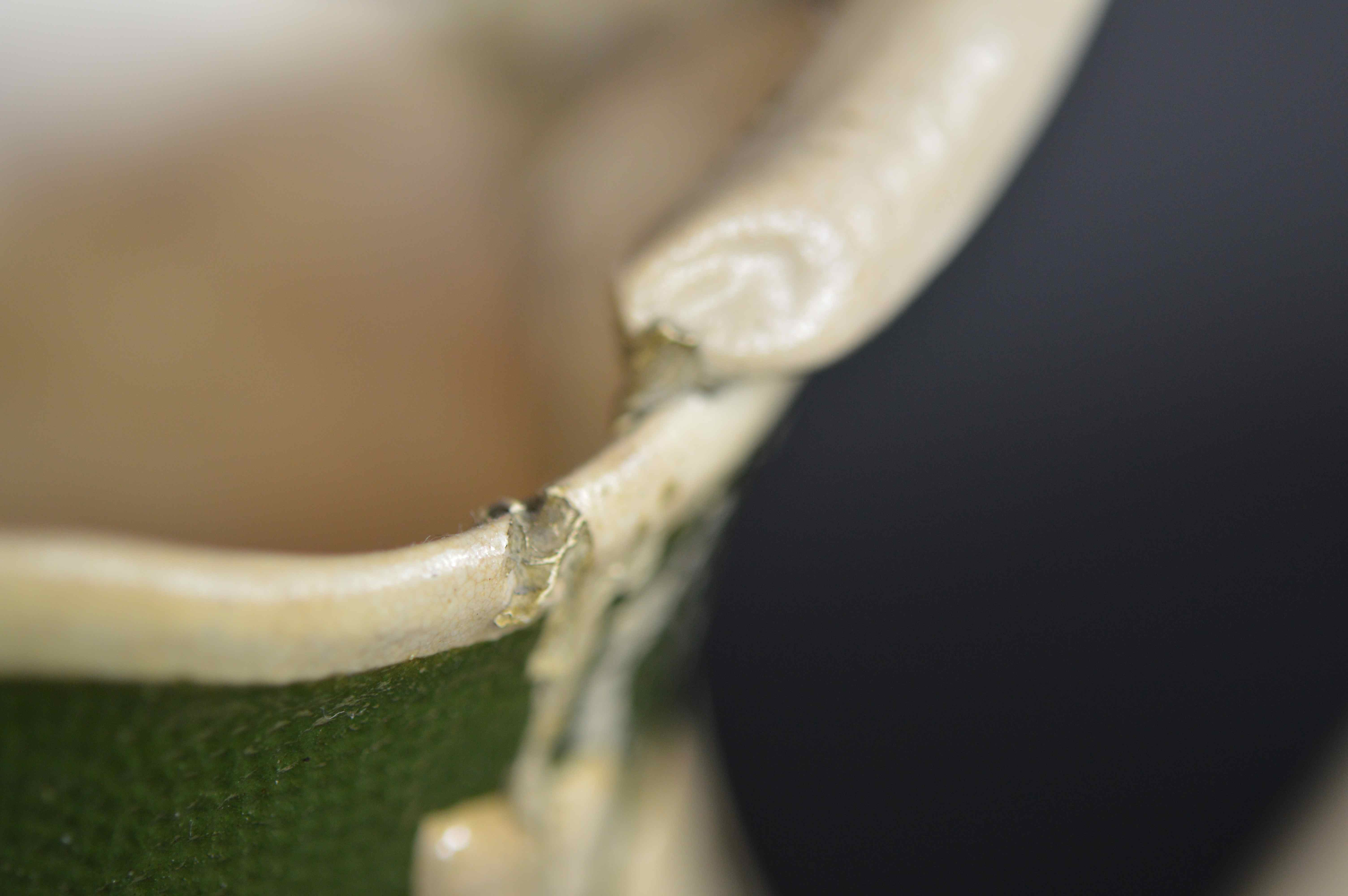 Fitz & Floyd Basketweave Pitcher and More