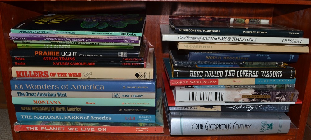 Vintage Book Shelf Lot