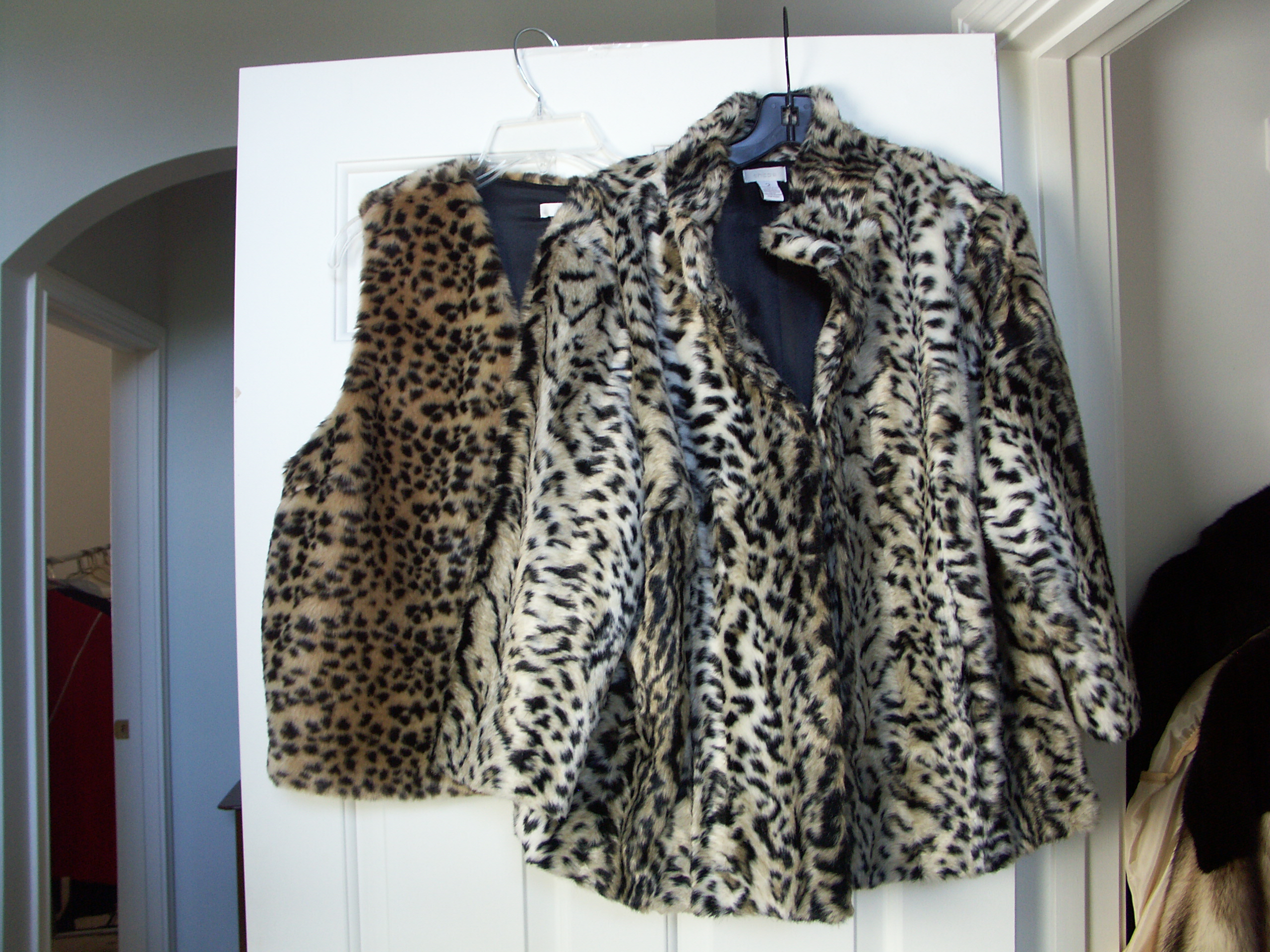 Faux Leopard Print Jackets and Purse