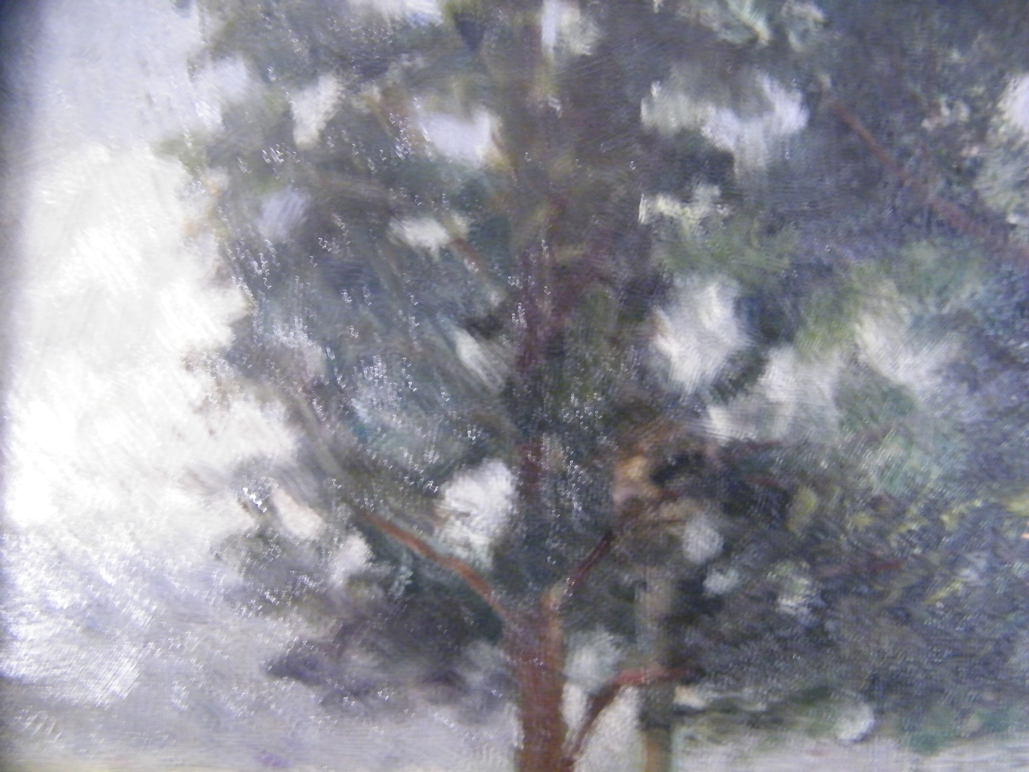 William Otis Swett Oil on Canvas