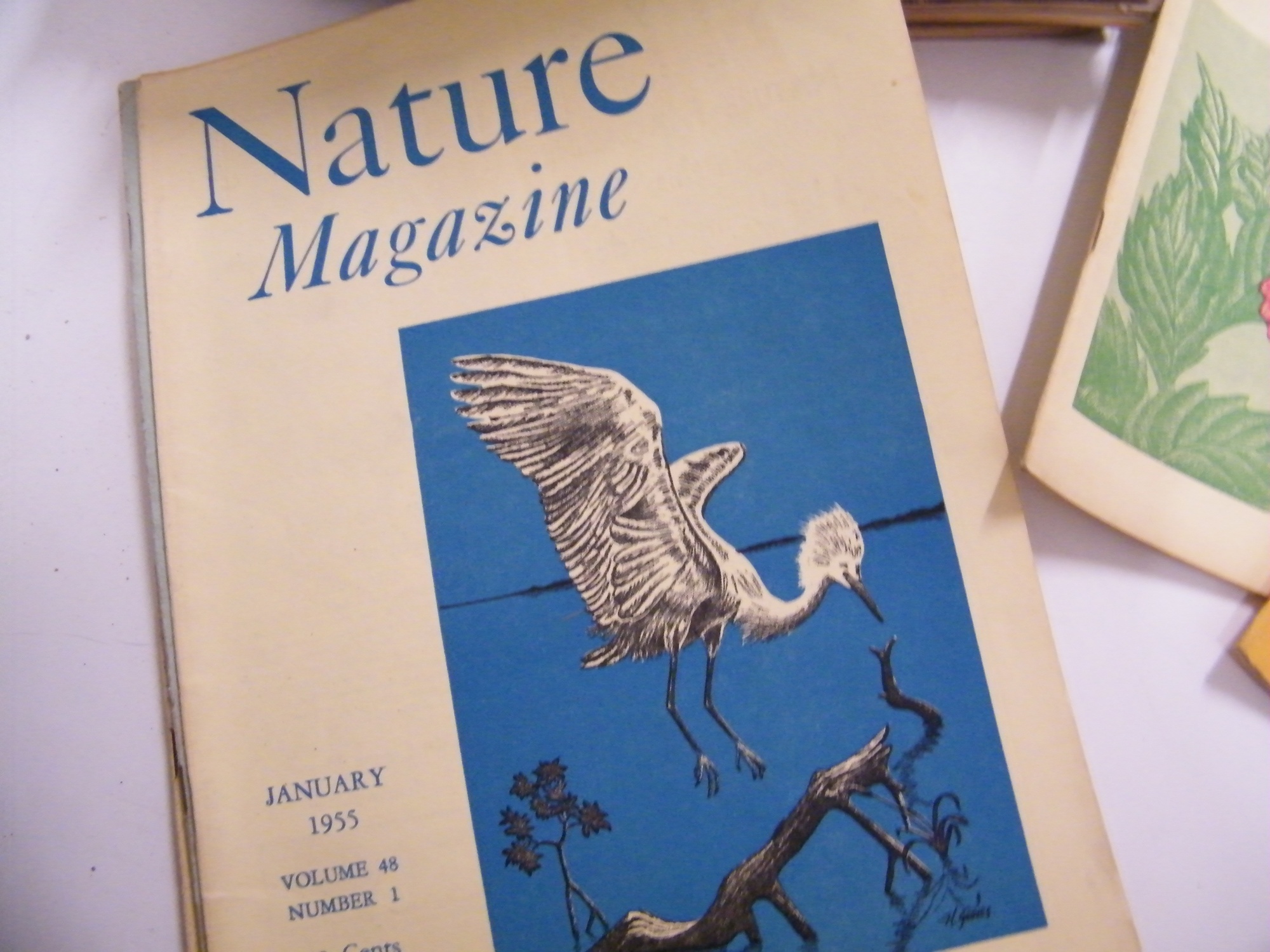 Vintage Nature Magazines