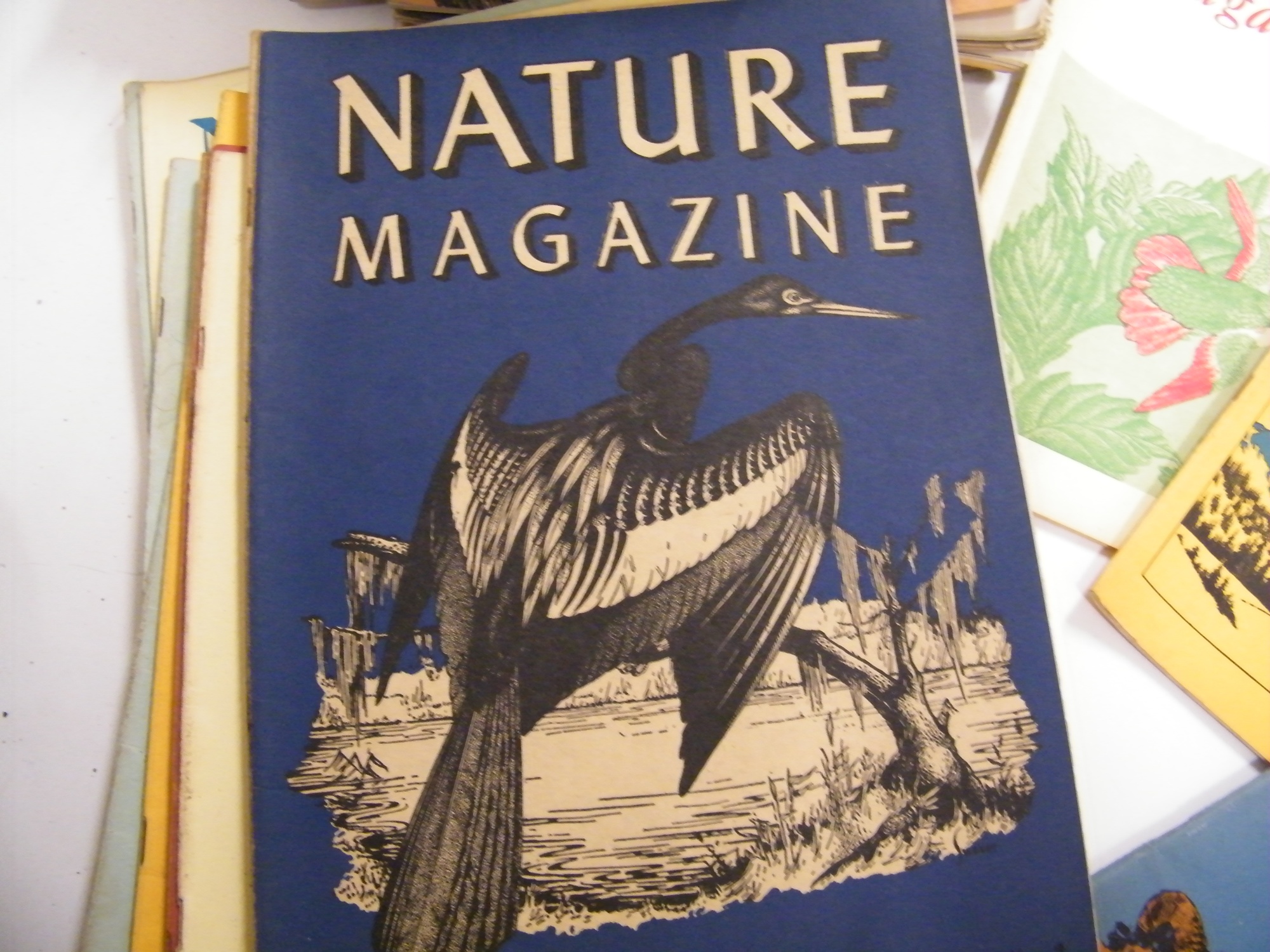 Vintage Nature Magazines