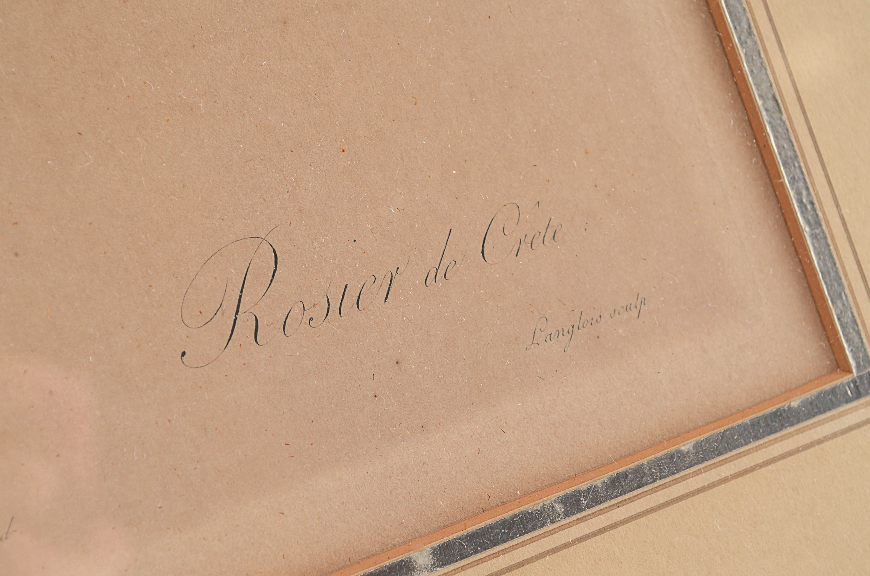 Two Antique Botanical Lithograph Framed Prints