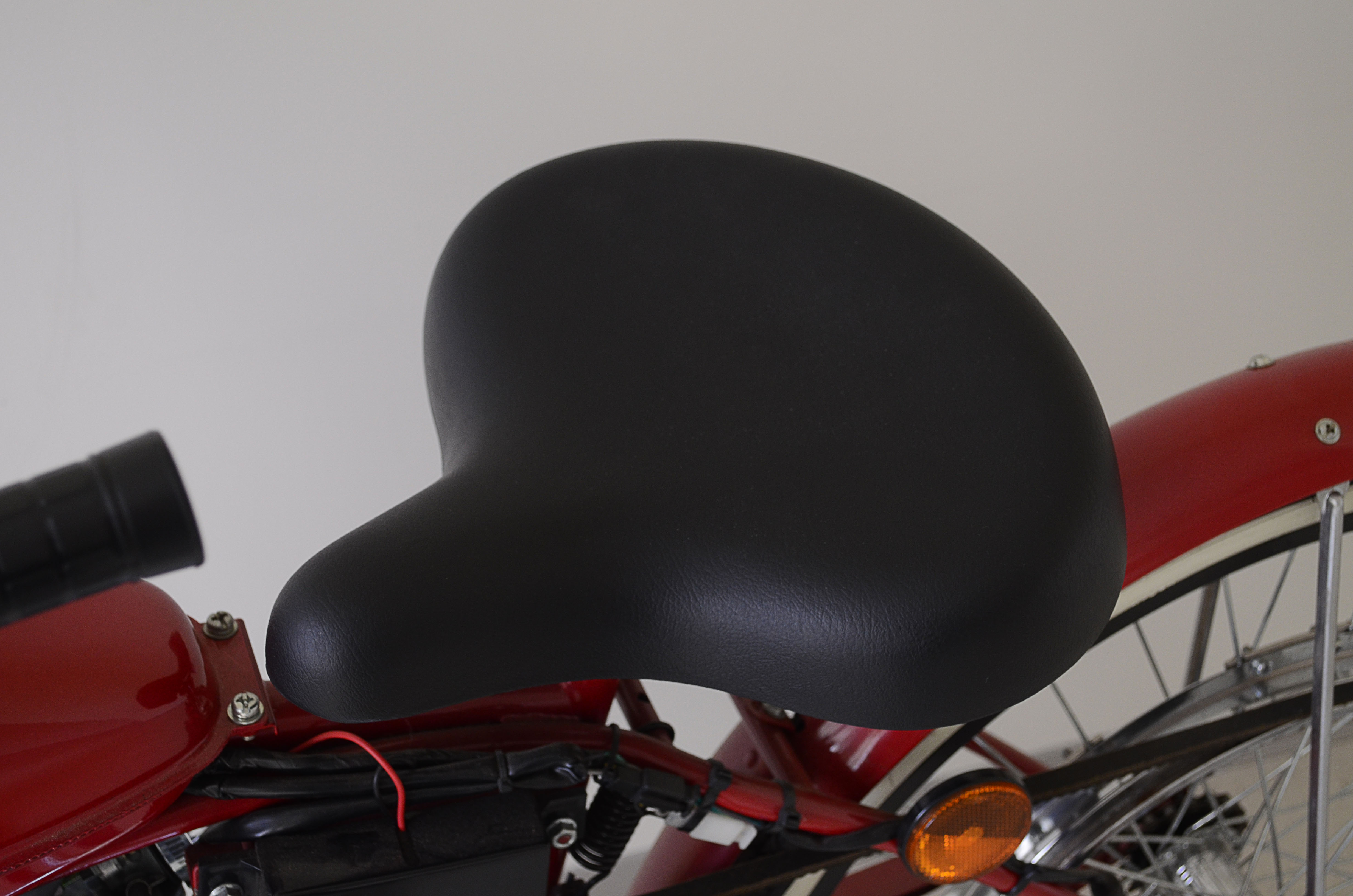 Whizzer Pacemaker II Motorbike 2005