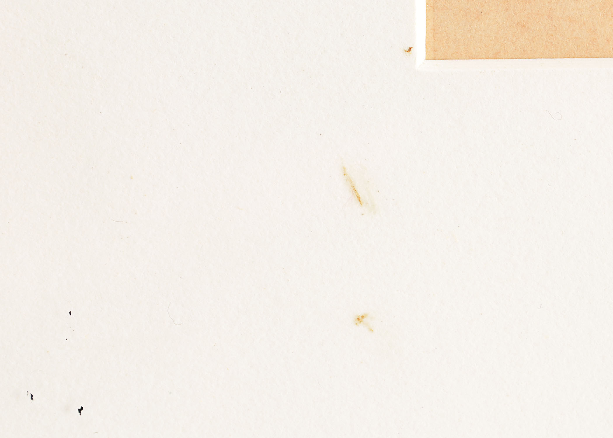 Pencil Signed W.A. Donald Etching, Guy's Hospital